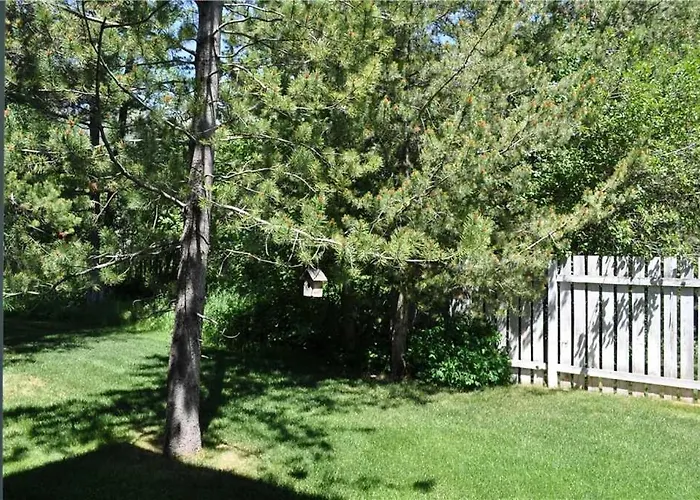 Rmr: Balsam B4 In The Aspenswilson Wy Apartment